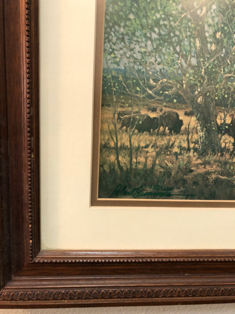 "White Buffalo" Vintage Framed Print by Robert Summers - #958/1500 with Affadavi