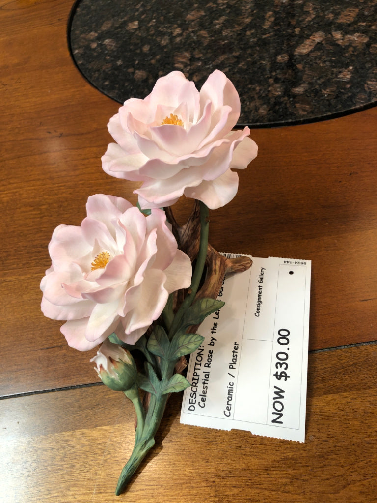 Celestial Rose by the Lenox Garden
