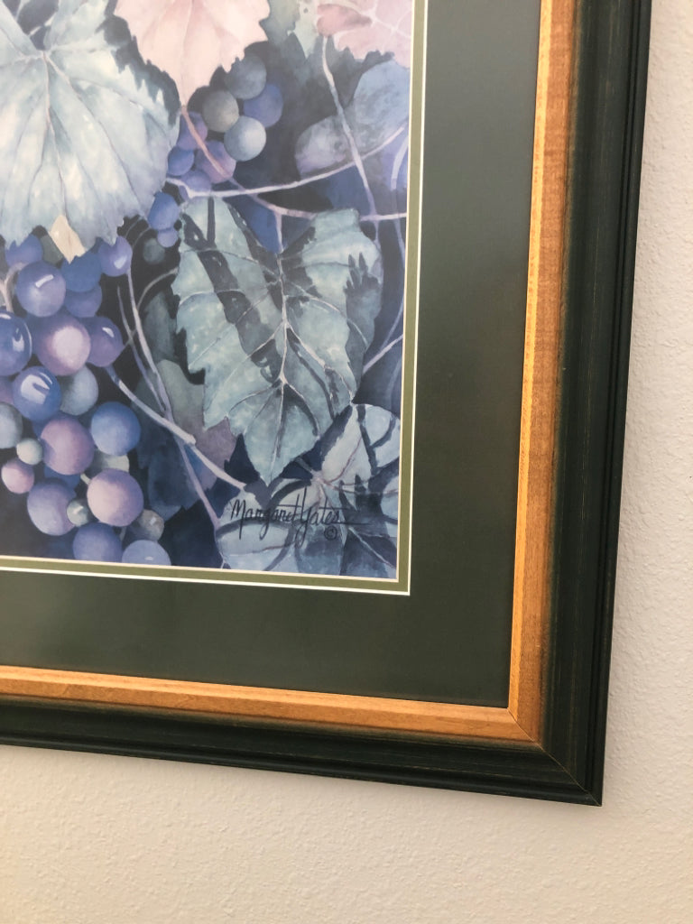 Picture of Grapes