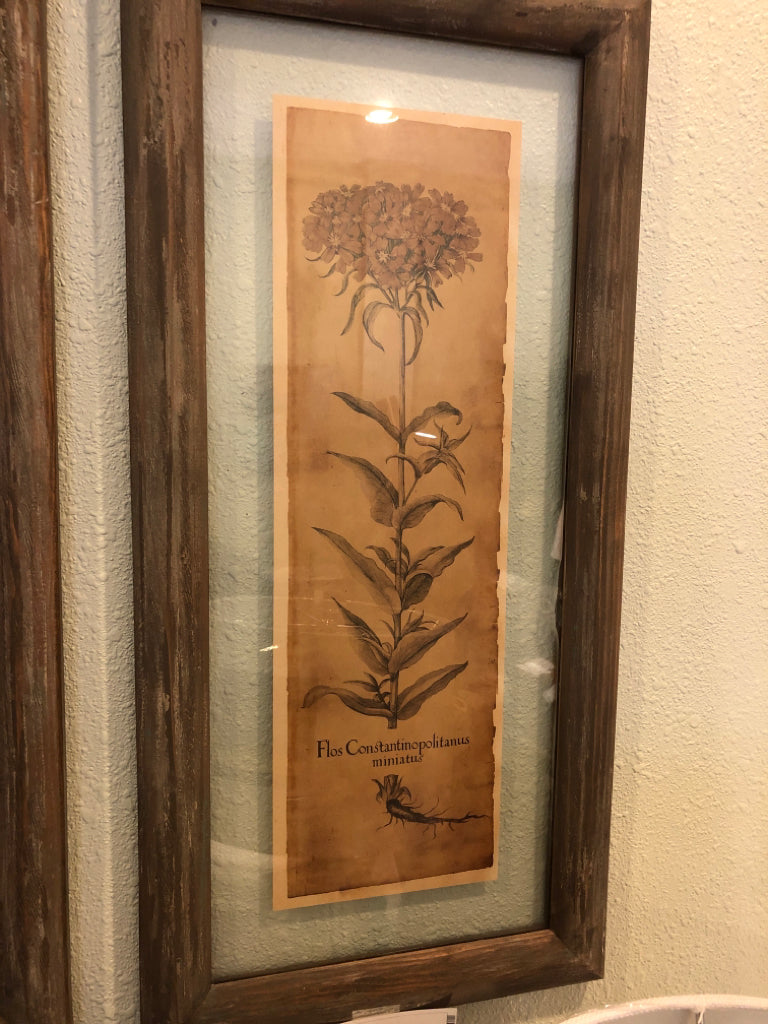 Picture of Flower