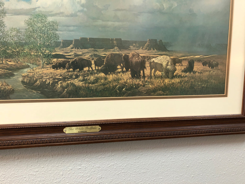 "White Buffalo" Vintage Framed Print by Robert Summers - #958/1500 with Affadavi