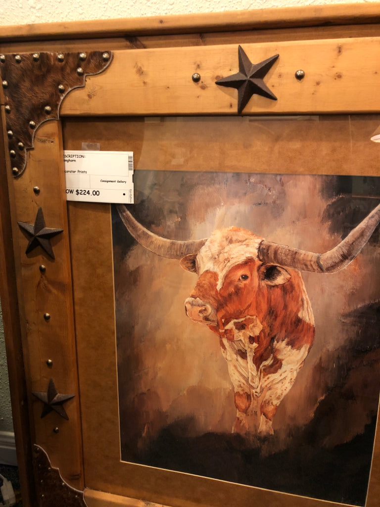 Longhorn Print