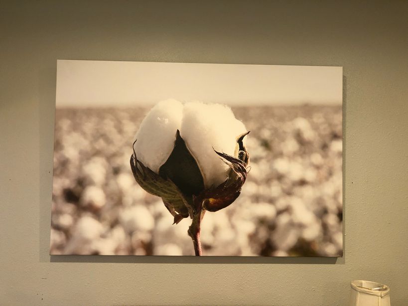 Fine Art