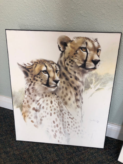 2 Cheetahs