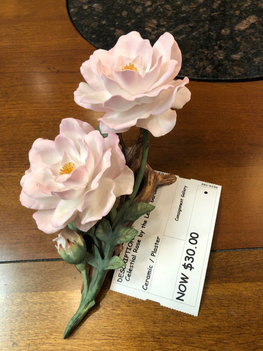 Celestial Rose by the Lenox Garden