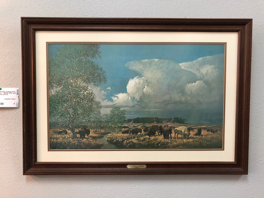 "White Buffalo" Vintage Framed Print by Robert Summers - #958/1500 with Affadavi