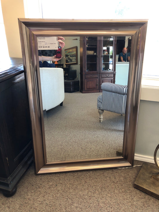 Framed Mirror with Brushed Frame