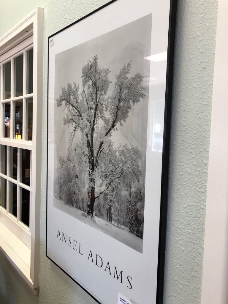 Winter Picture by Ansel Adams
