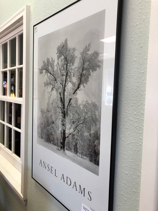 Winter Picture by Ansel Adams