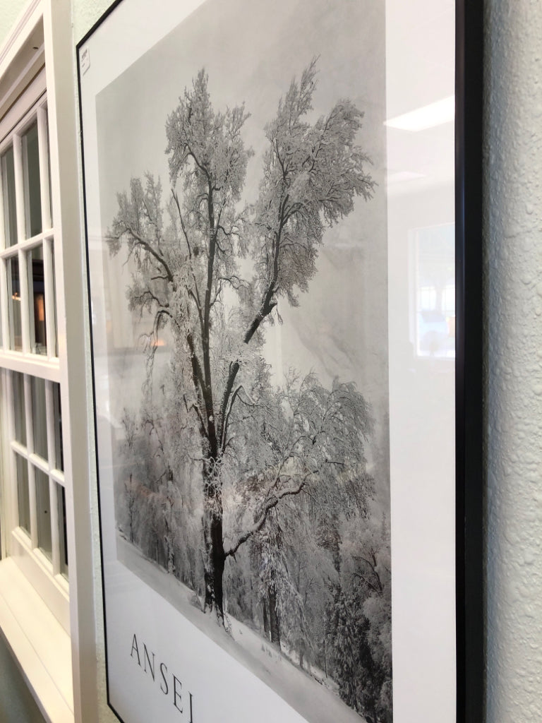 Winter Picture by Ansel Adams